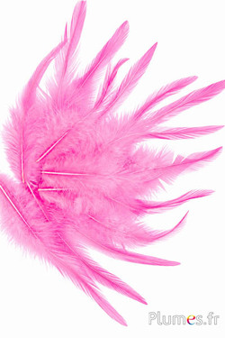 Hahnenkreuz - 8-12 cm - rosa